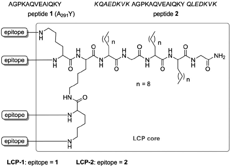 Scheme 12