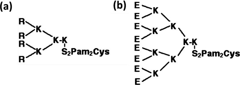 Scheme 8