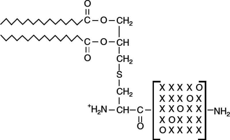 Scheme 3