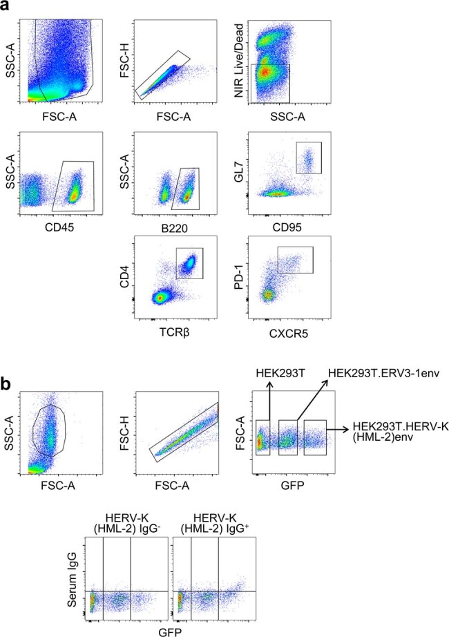 Extended Data Fig. 12