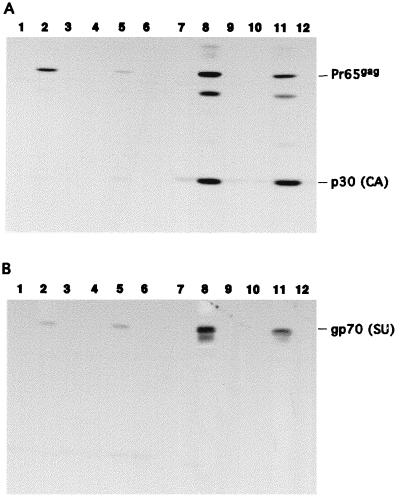 FIG. 5