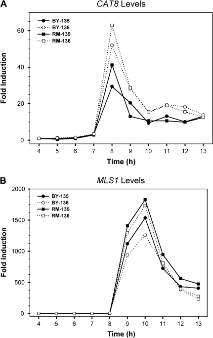 FIG. 7.—