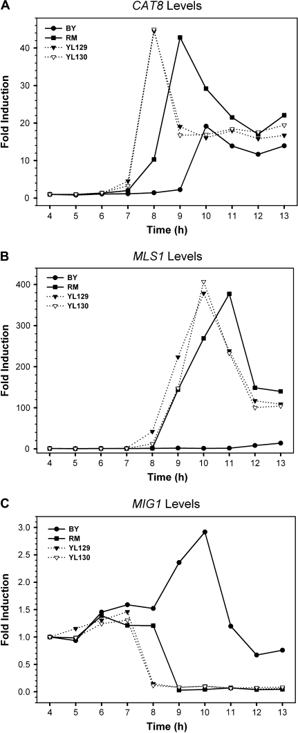 FIG. 6.—