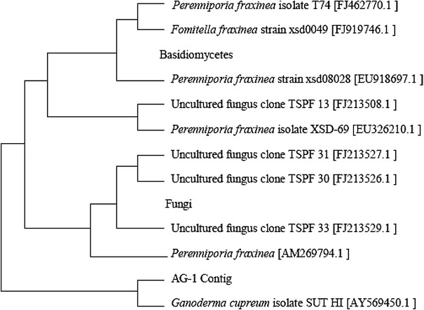 Fig. 1