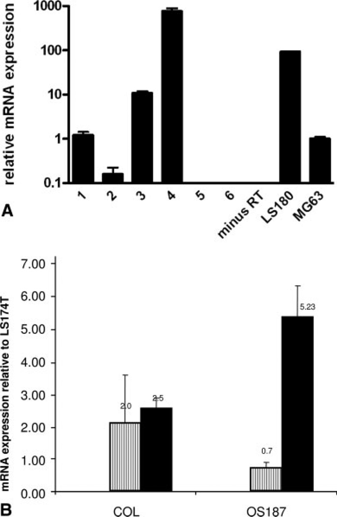 FIGURE 1