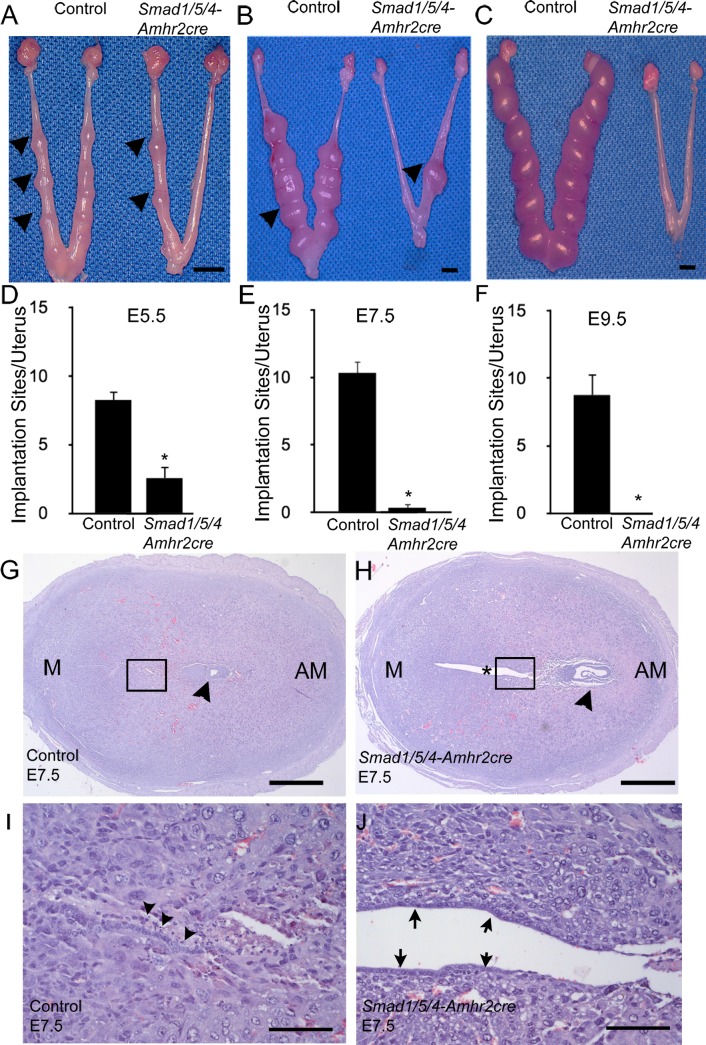 FIG. 6