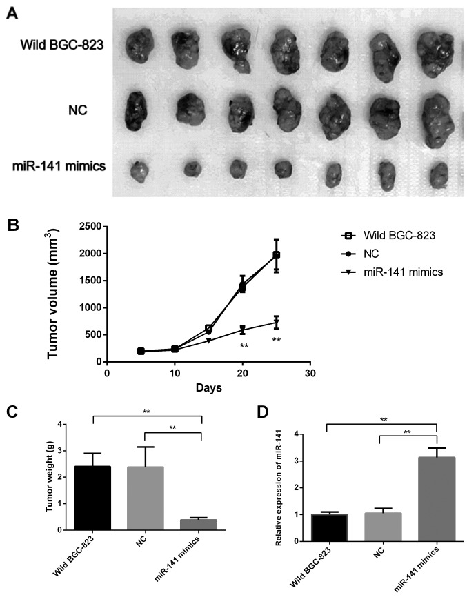 Figure 5.