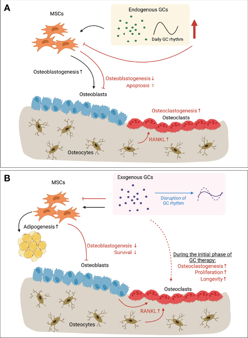 Figure 1