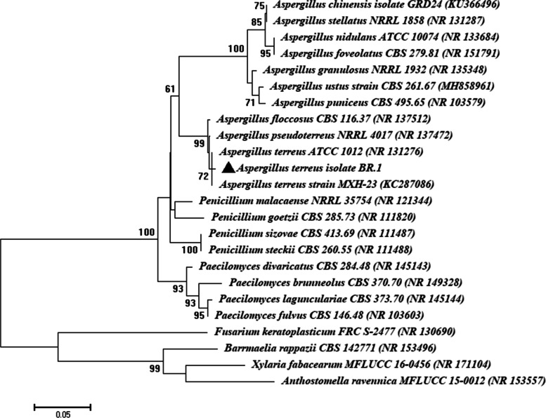 Fig. 1