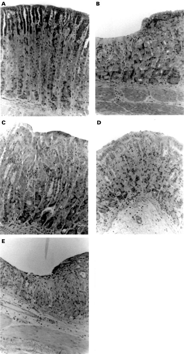 Figure 1  