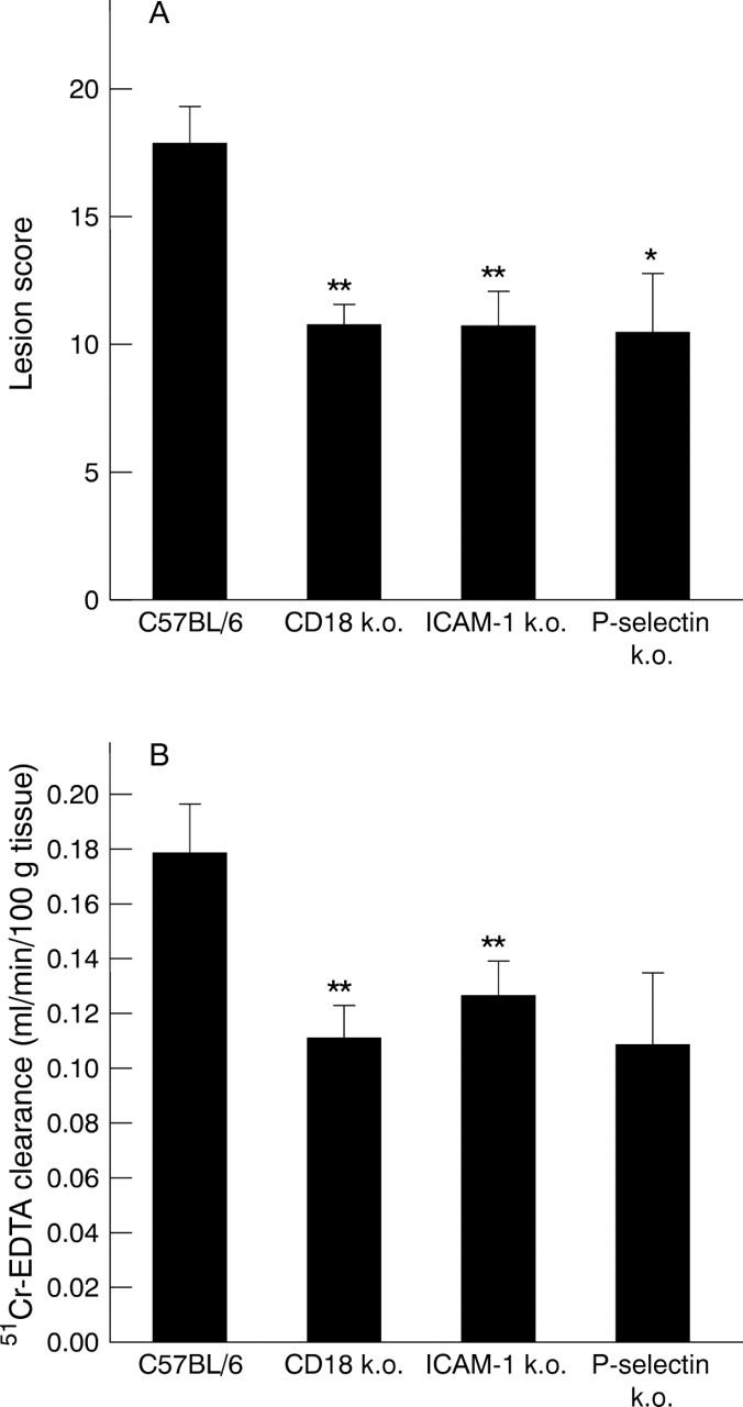 Figure 4  