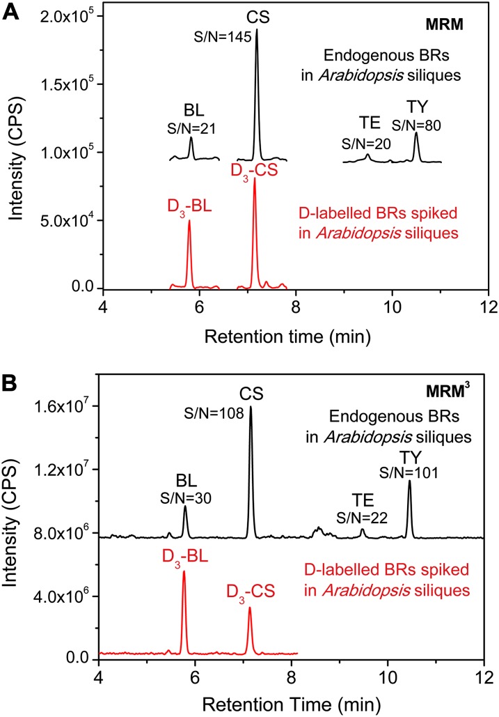 Figure 7.