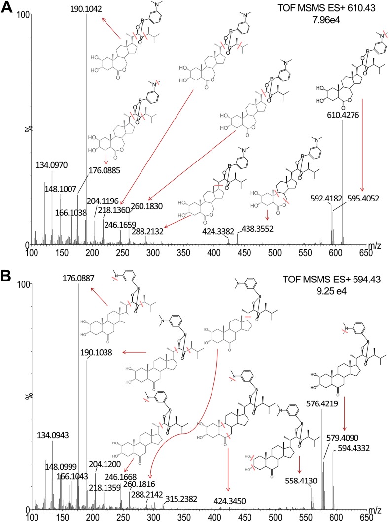 Figure 4.