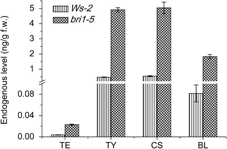 Figure 9.