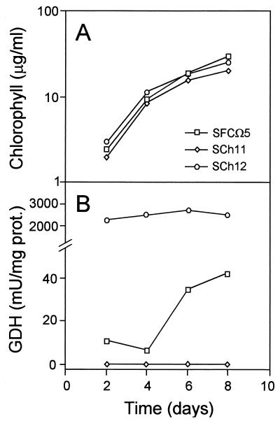 FIG. 1