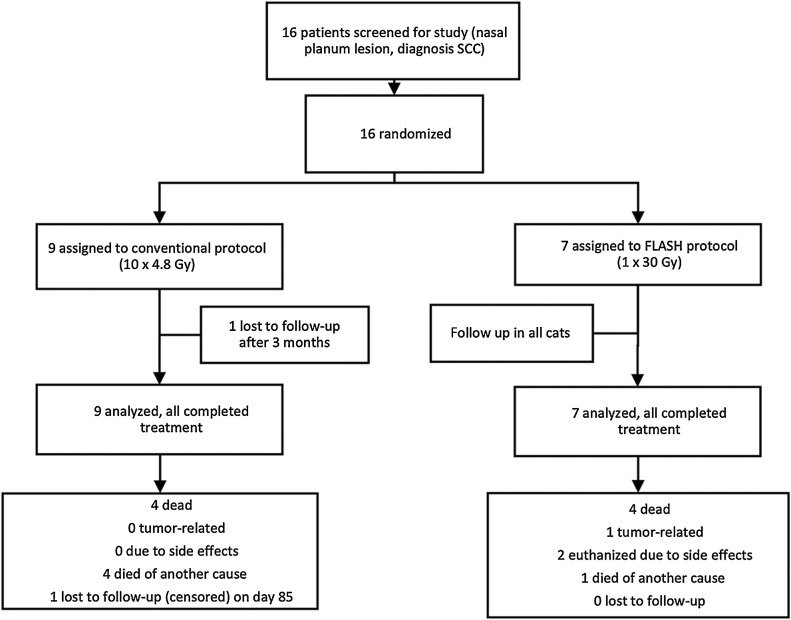 Figure 2. Trial profile.