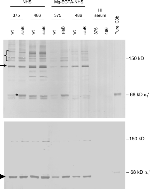 FIG. 8.