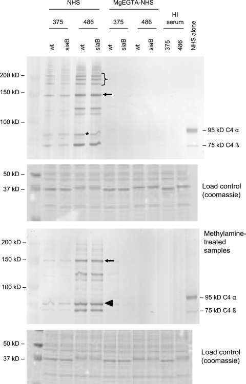 FIG. 7.