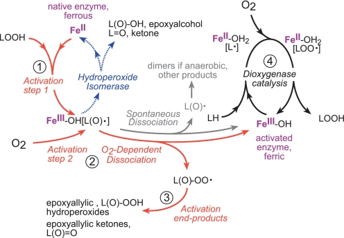 FIGURE 12.