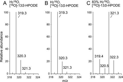 FIGURE 10.