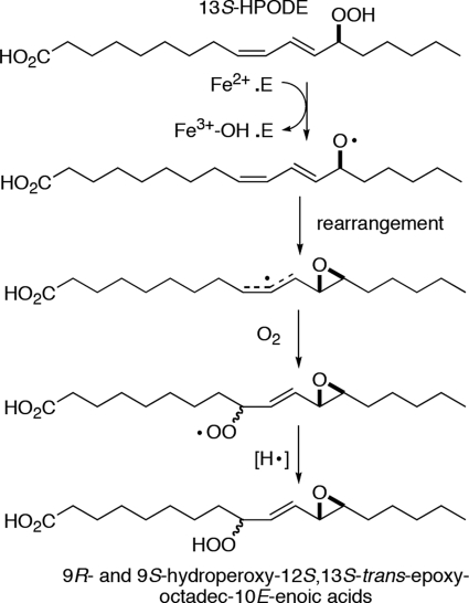 SCHEME 2