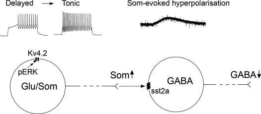 Fig. 9