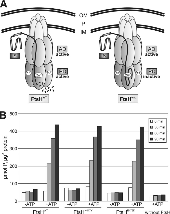 FIGURE 1.