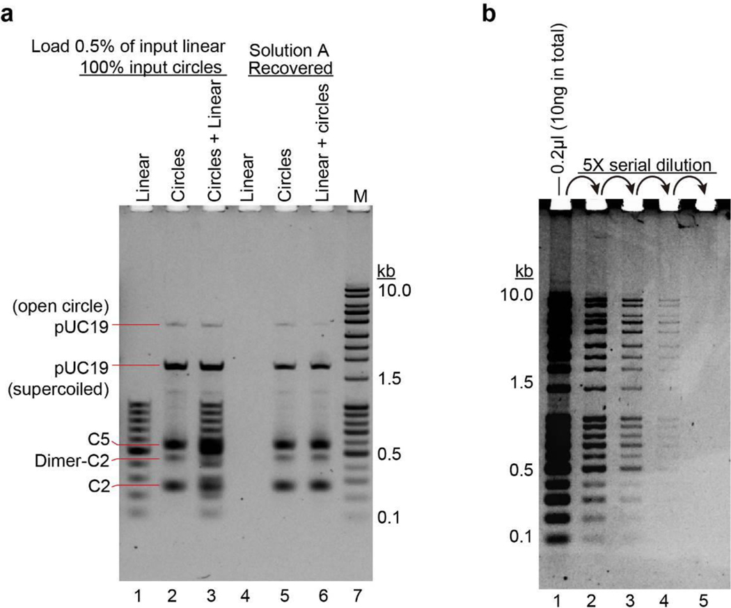 Extended Data Fig. 1.