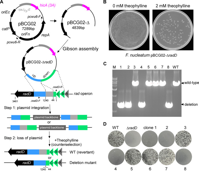 FIG 3