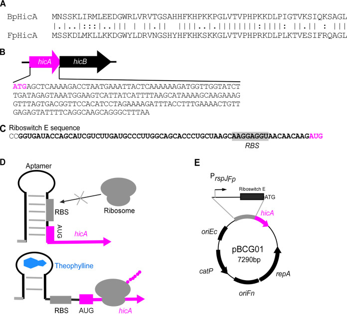 FIG 1