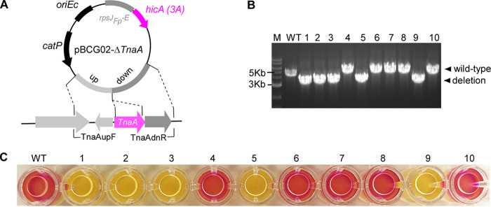 FIG 4