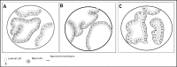 Fig. 3.
