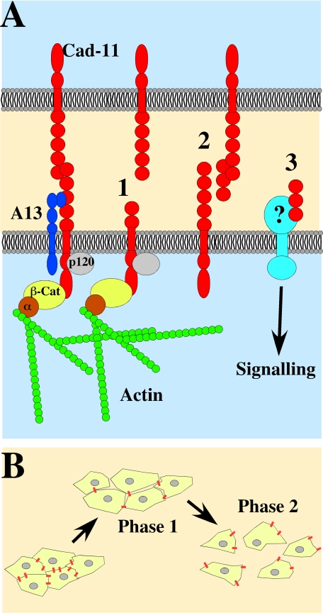 Figure 9.