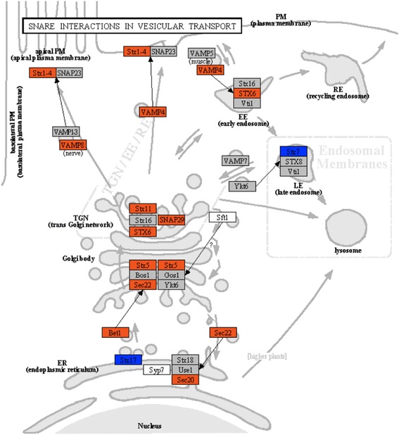 Fig. 5