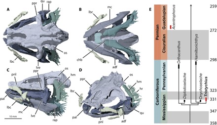 Fig. 1