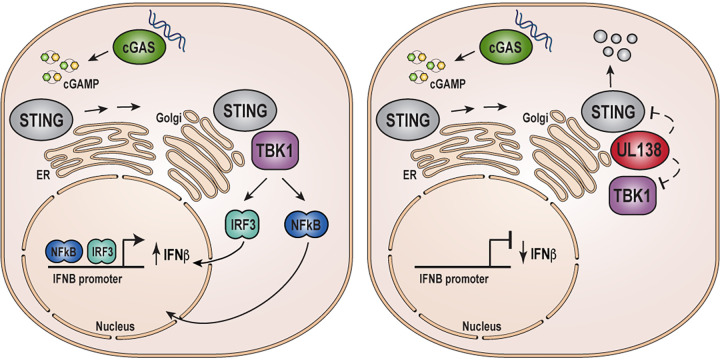 FIG 10