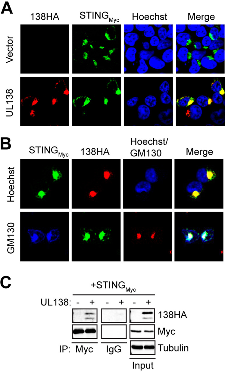 FIG 1