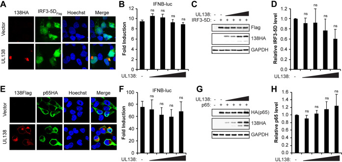 FIG 4