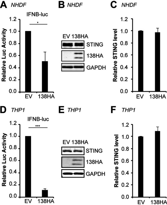 FIG 5