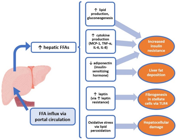 FIG 2