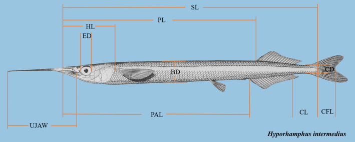 FIGURE 3