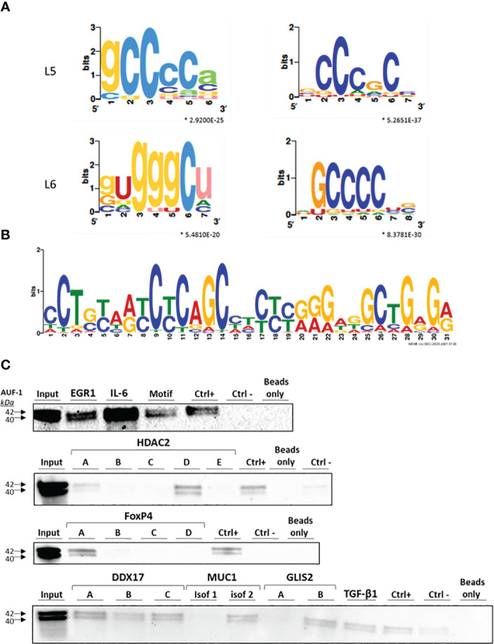 Figure 2