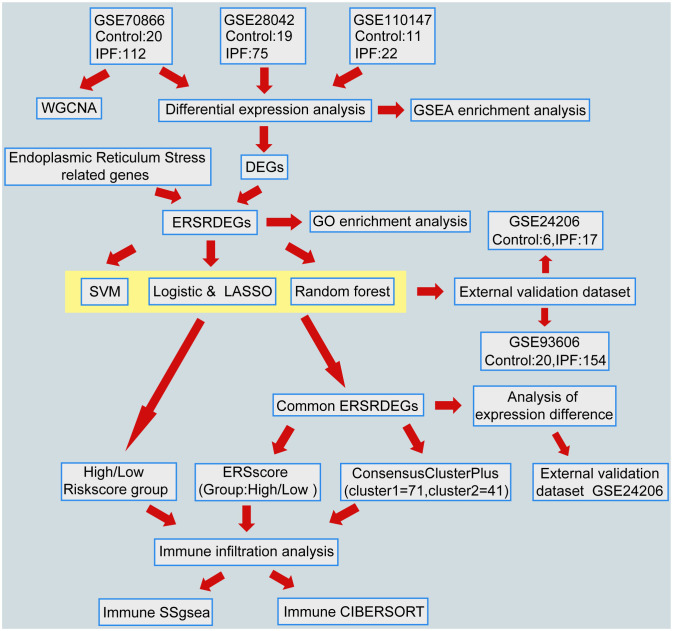 Figure 1