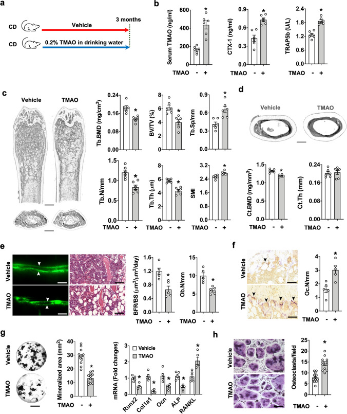 Fig. 6