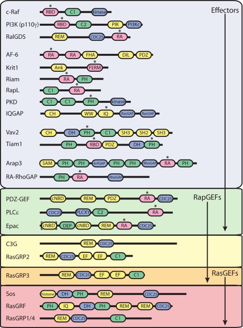 FIGURE 1.