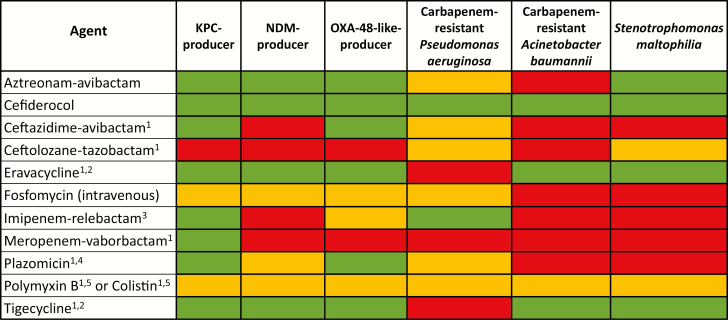 Defining the Role of Novel β-Lactam Agents That Target Carbapenem ...