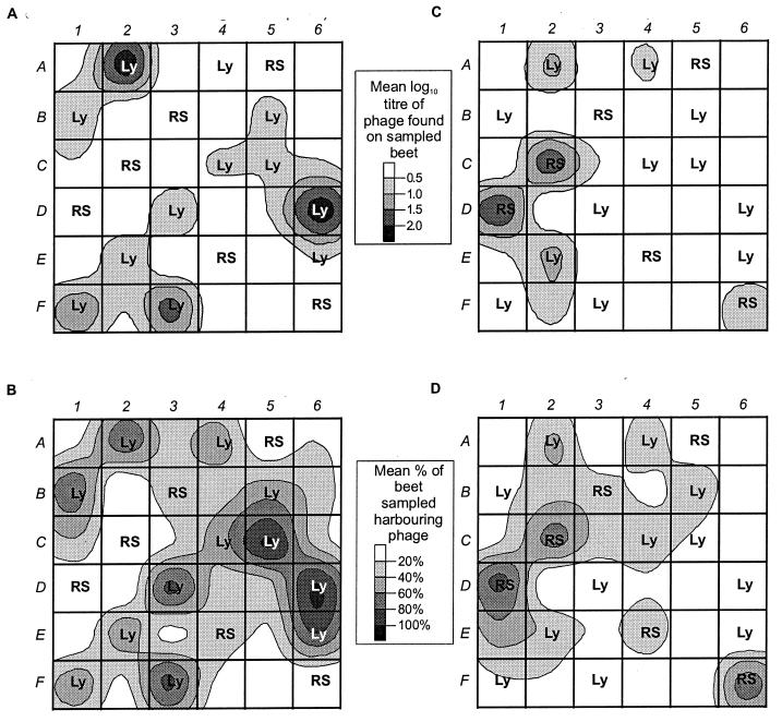 FIG. 4