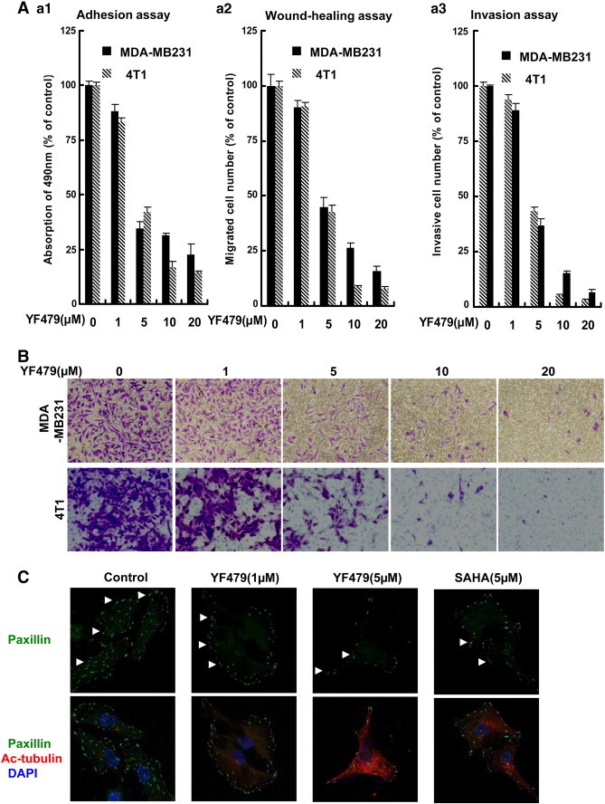 Figure 3