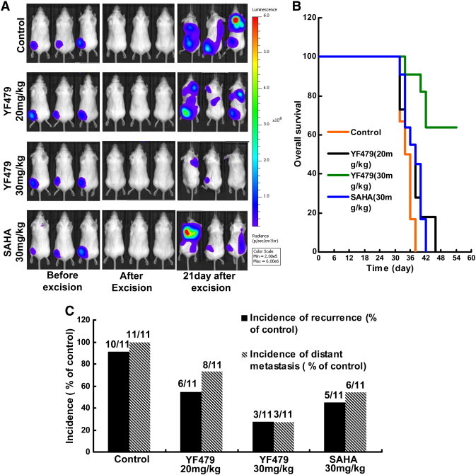 Figure 6