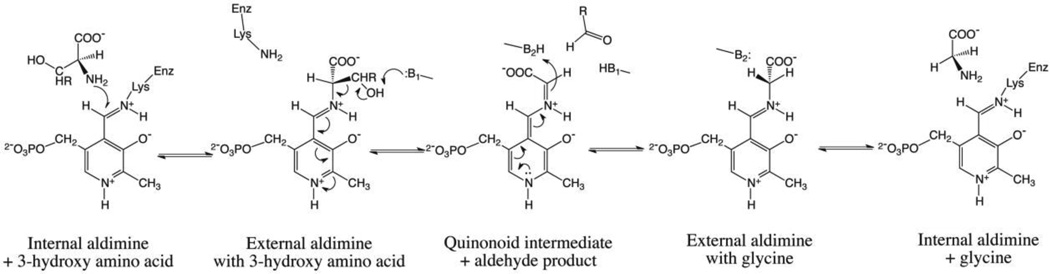 Scheme 1